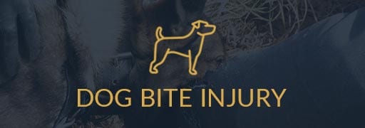 Dog bite injury banner with dog symbol and background photo