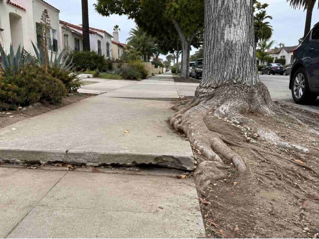Cracked and uplifted public sidewalk panels caused by tree root damage in a California residential neighborhood
